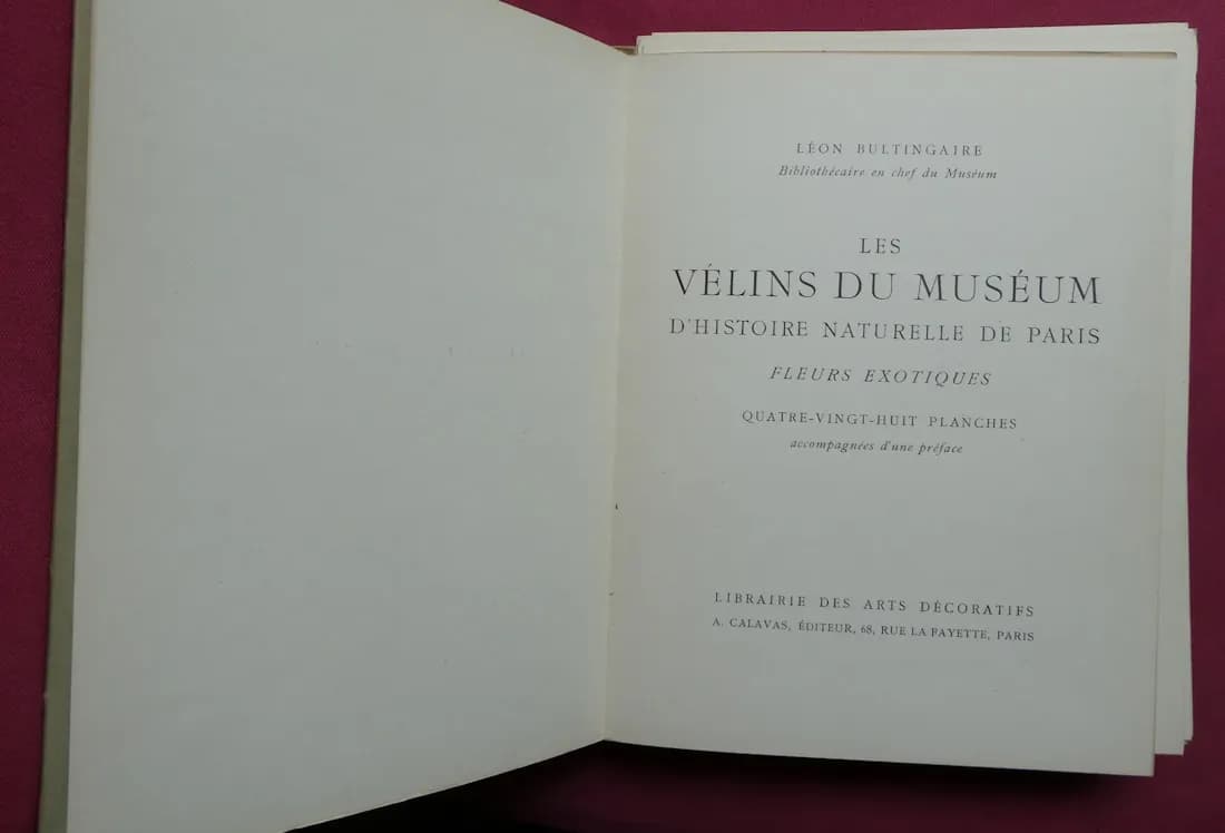 Les Vélins du Museum d'Histoire Naturelle de Paris. Léon BULTINGAIRE - Image 3