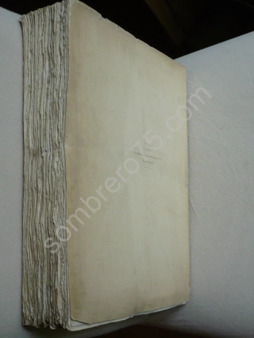 Les Titres de la Maison de Rarécourt de la Vallée de Pimodan. - Alphone Roserot - Image 3