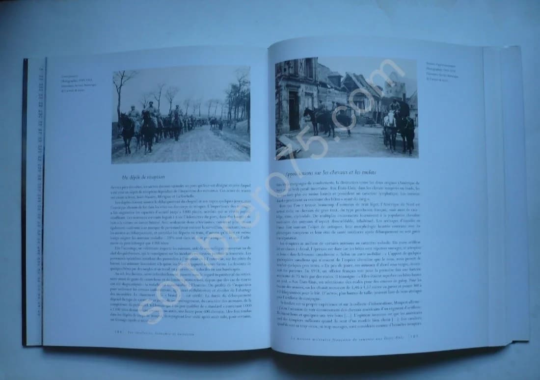 Le Cheval et la Guerre du XVe au XXe Siècle - Image 4
