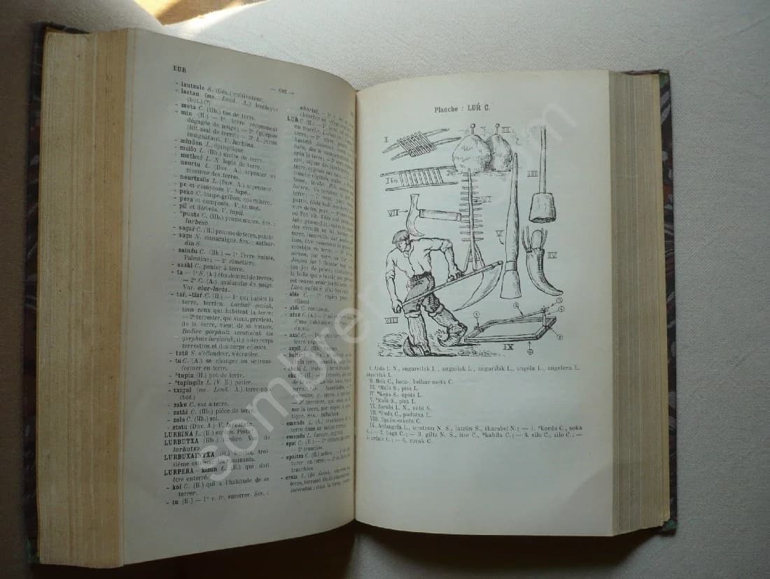 Dictionnaire Basque - Français. Tome 1 - Image 3