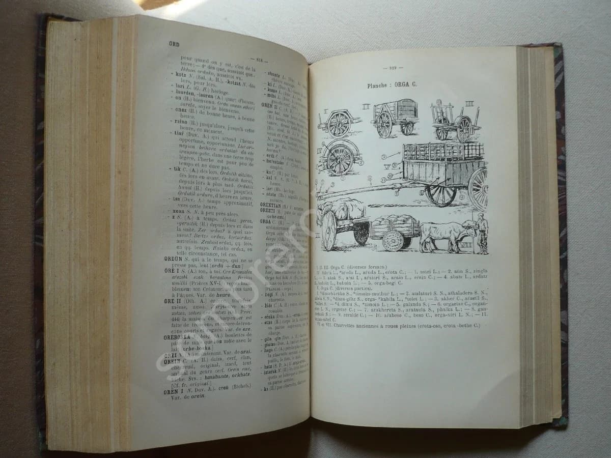 Dictionnaire Basque - Français. Tome 1 - Image 4