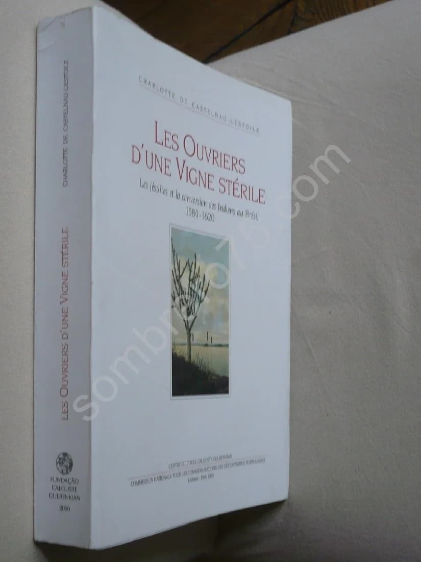 Les Ouvriers D'une Vigne Stérile. Les Jésuites Et La Conversion Des Indiens Au Brésil 1580-1620. Charlotte De Castelnau L'estoil