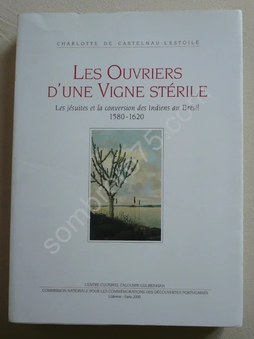 Les Ouvriers D'une Vigne Stérile. Les Jésuites Et La Conversion Des Indiens Au Brésil 1580-1620. Charlotte De Castelnau L'estoil - Image 4