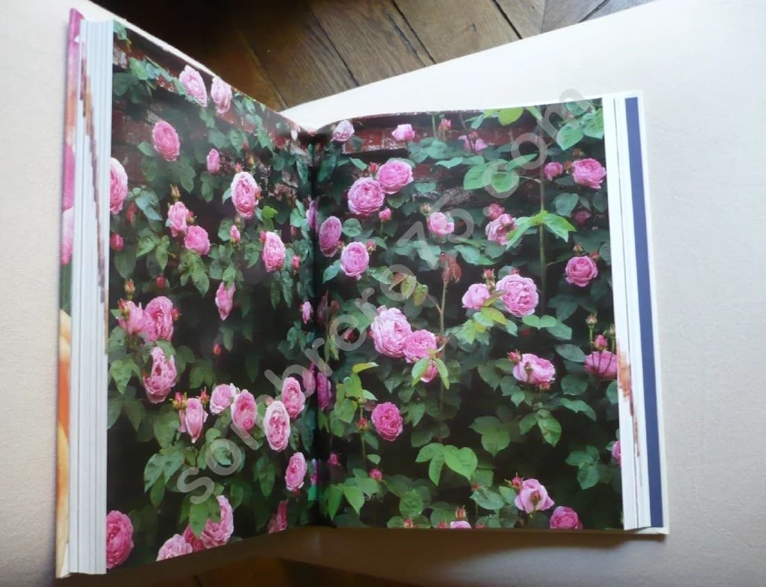 Encyclopédie des Roses. Charles et Brigid Quest Ritson - Image 5