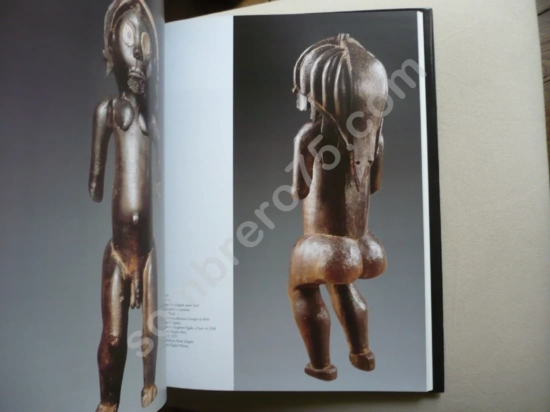 Gabon - Présence des Esprits. Christiane Falgayrettes Leveau - Image 4