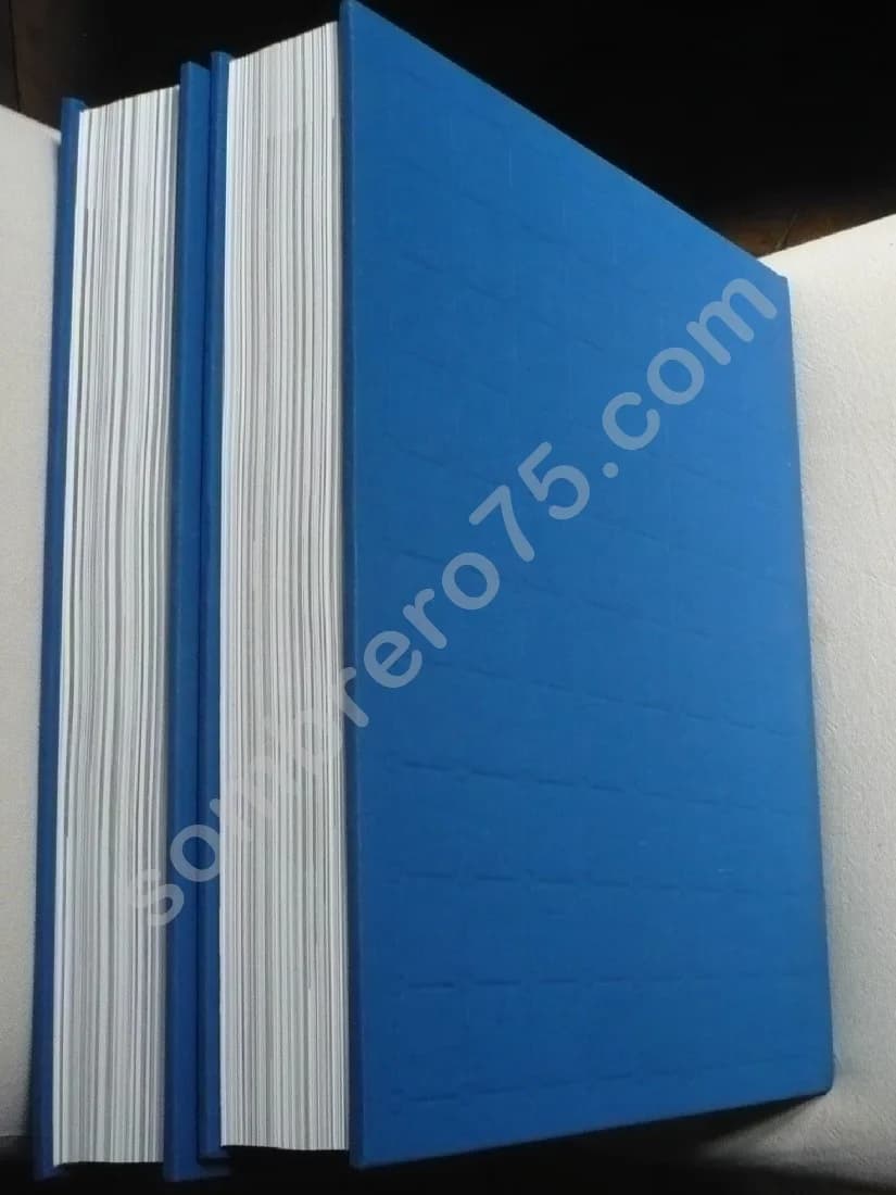 L'Art de Florence. 2 Volumes. - John Hunisak - Image 4