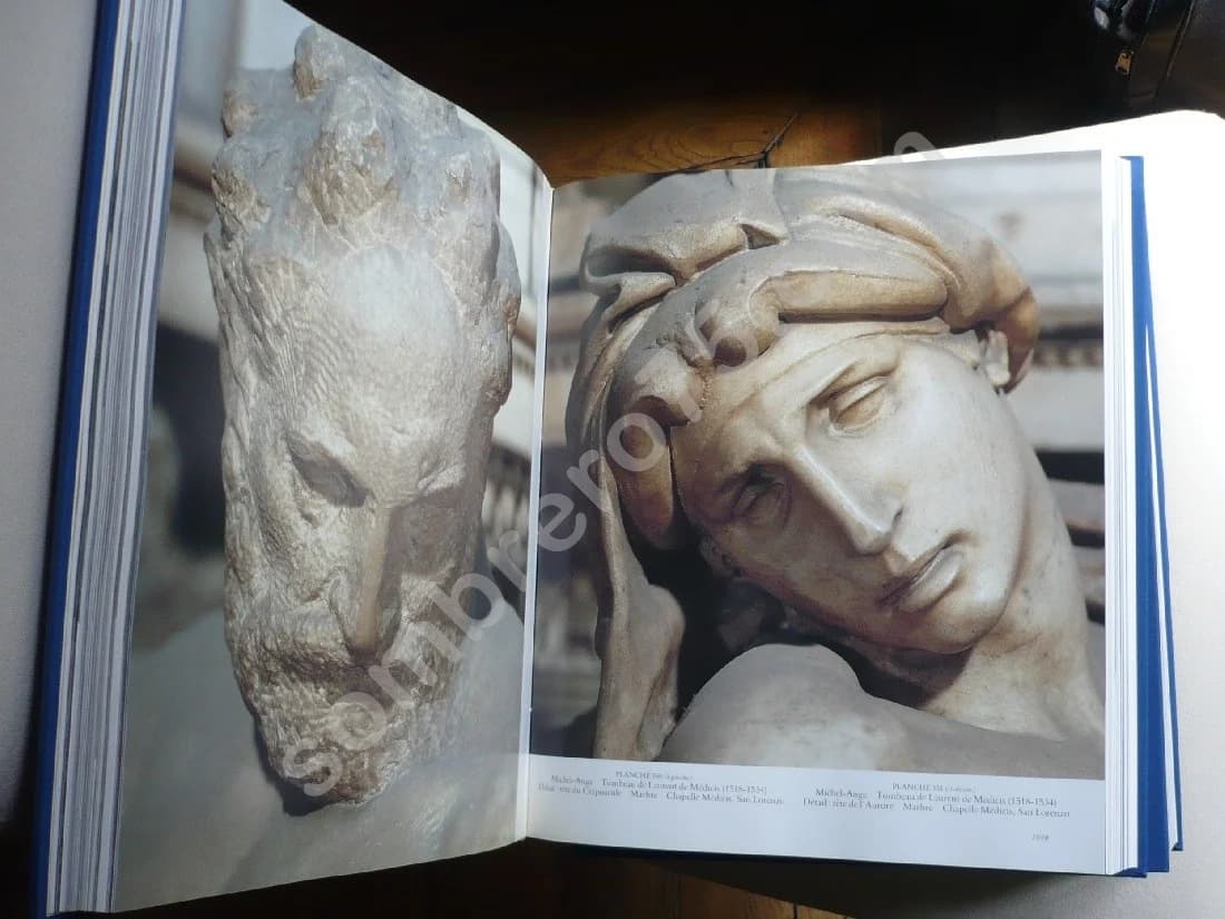 L'Art de Florence. 2 Volumes. - John Hunisak - Image 6