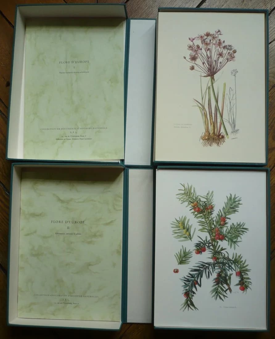 Flore d'Europe. 2 Coffrets - Image 2