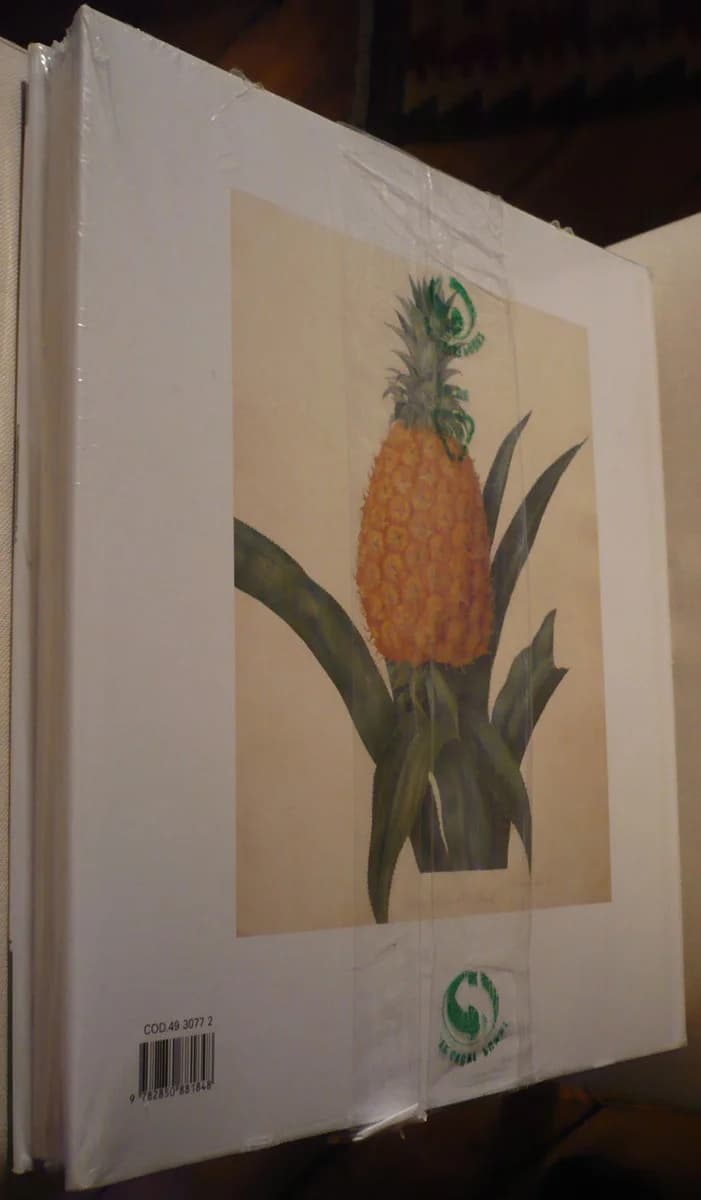 Histoire Illustrée du Fruit - Image 2