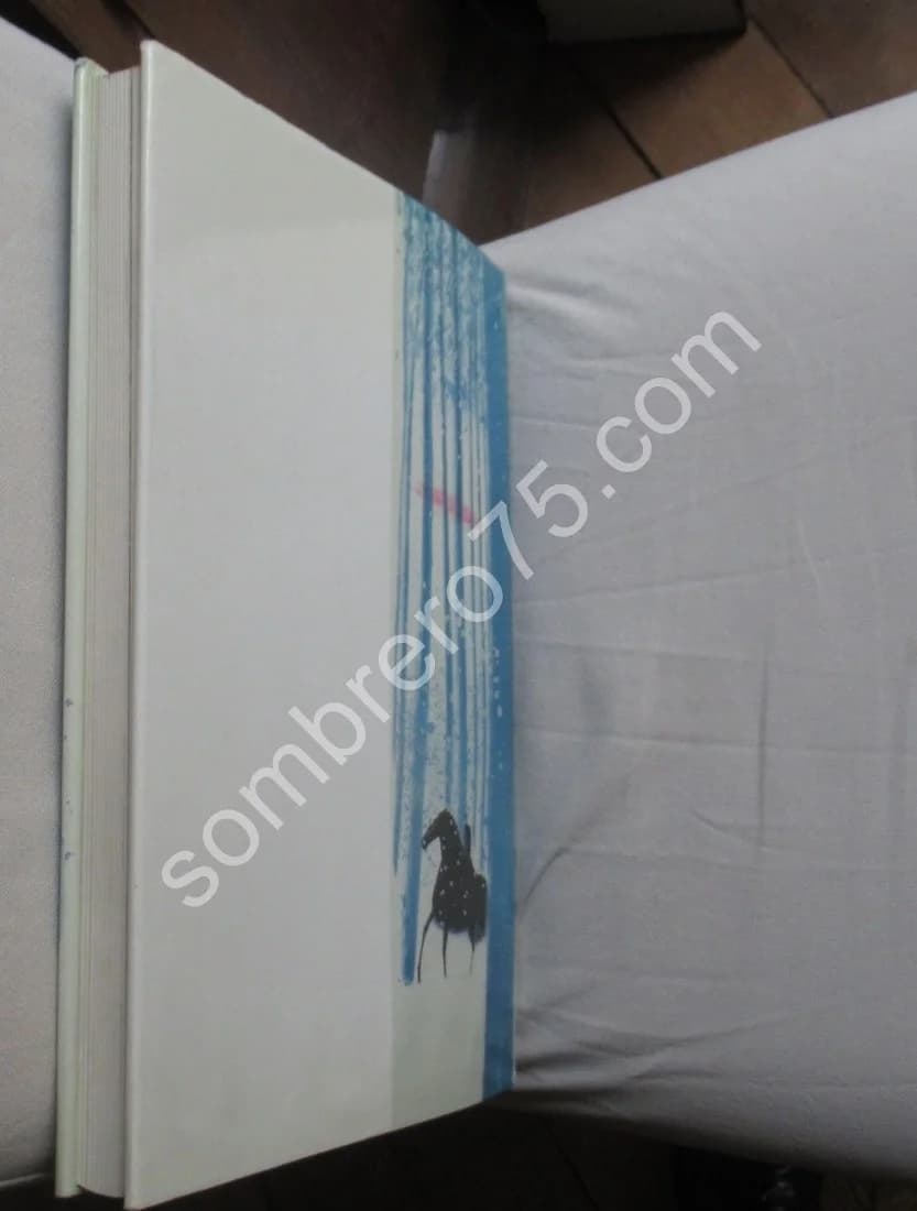 André Brasilier L'Oeuvre Lithographié 1958 1981 - Image 11