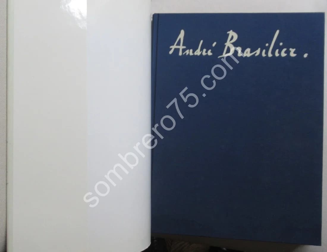 André Brasilier L'Oeuvre Lithographié 1958 1981 - Image 3