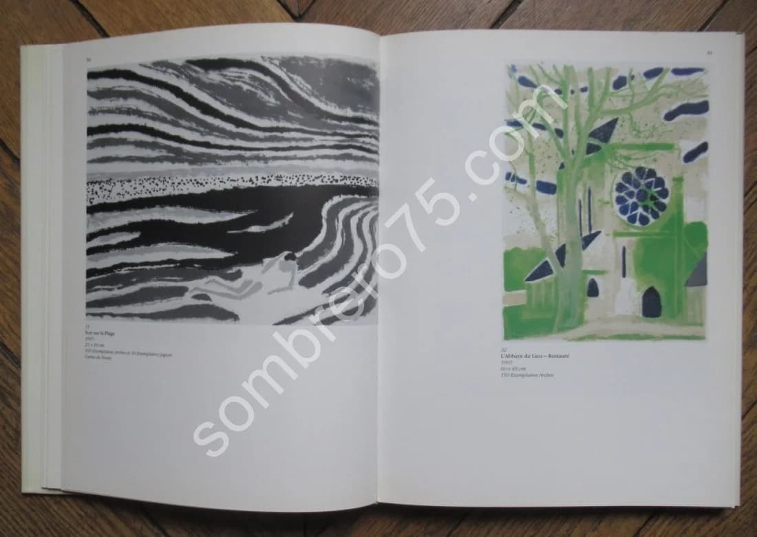 André Brasilier L'Oeuvre Lithographié 1958 1981 - Image 7