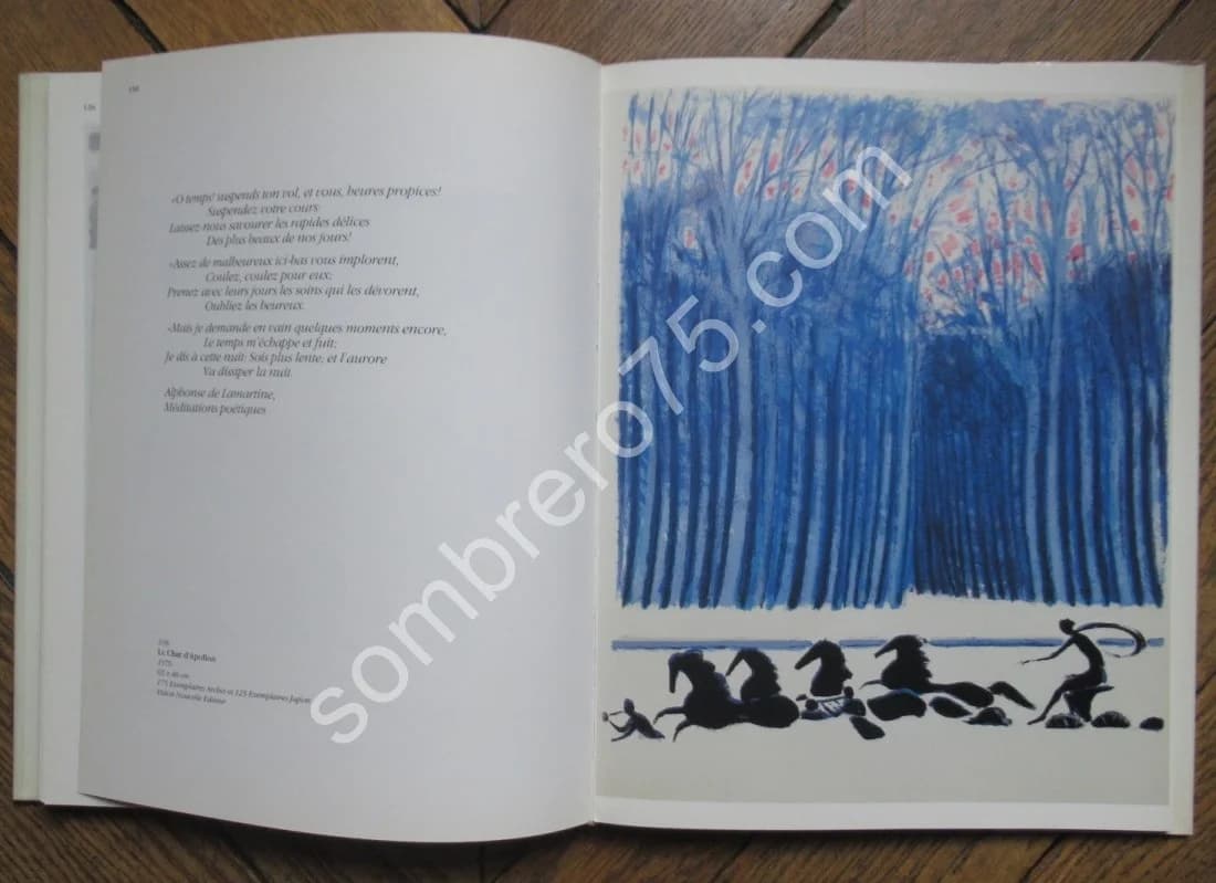 André Brasilier L'Oeuvre Lithographié 1958 1981 - Image 9