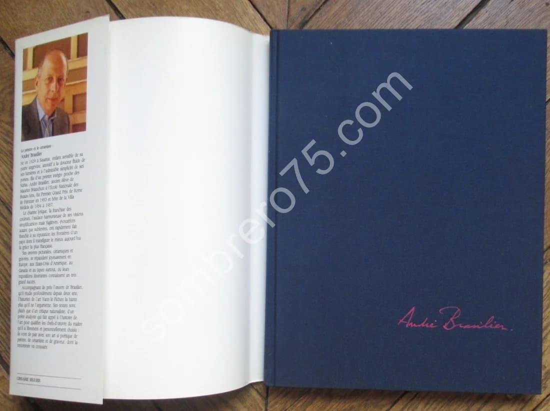 André Brasilier - Ses Transfigurations. Envoi - Image 3