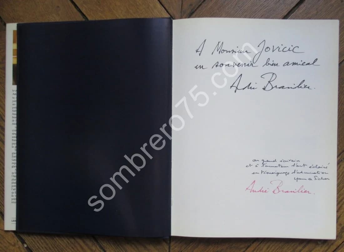 André Brasilier - Ses Transfigurations. Envoi - Image 5