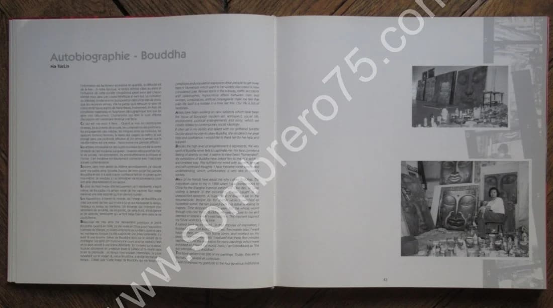 Bouddhas - Buddhas de 1999 - 2002. Dédicacé - Image 7