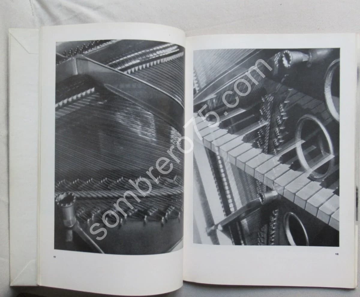 Aenne Biermann 60 photos - 1930. Introd. Franz ROH - Image 4