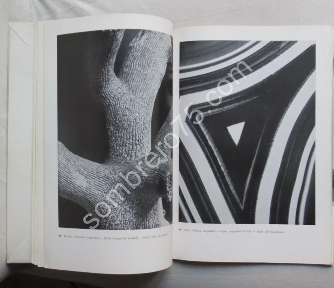 Aenne Biermann 60 photos - 1930. Introd. Franz ROH - Image 7