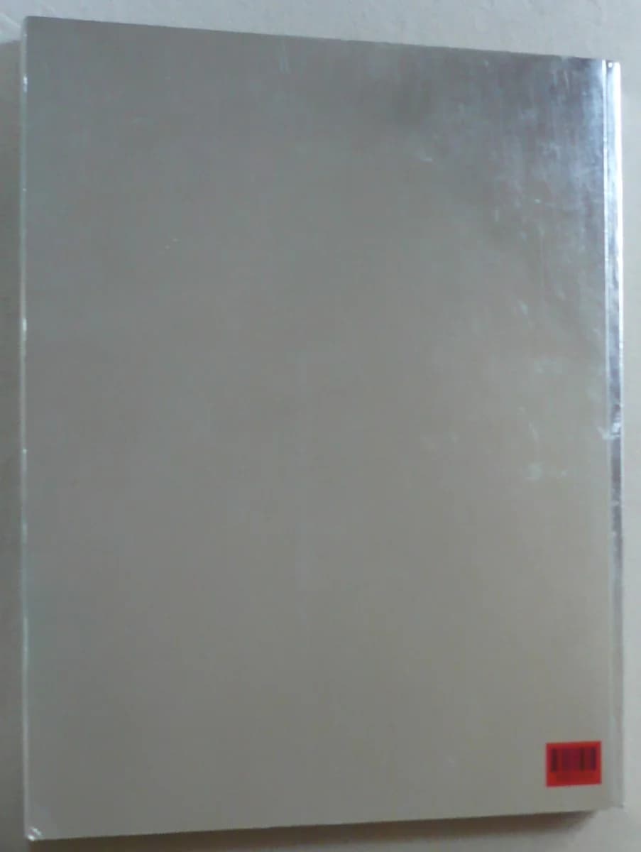 Rauschenberg. Overseas Culture Interchange - Image 3