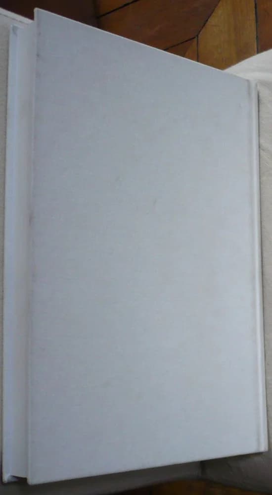 Henri Laurens 1885-1954. Anisabelle Berès - Image 2