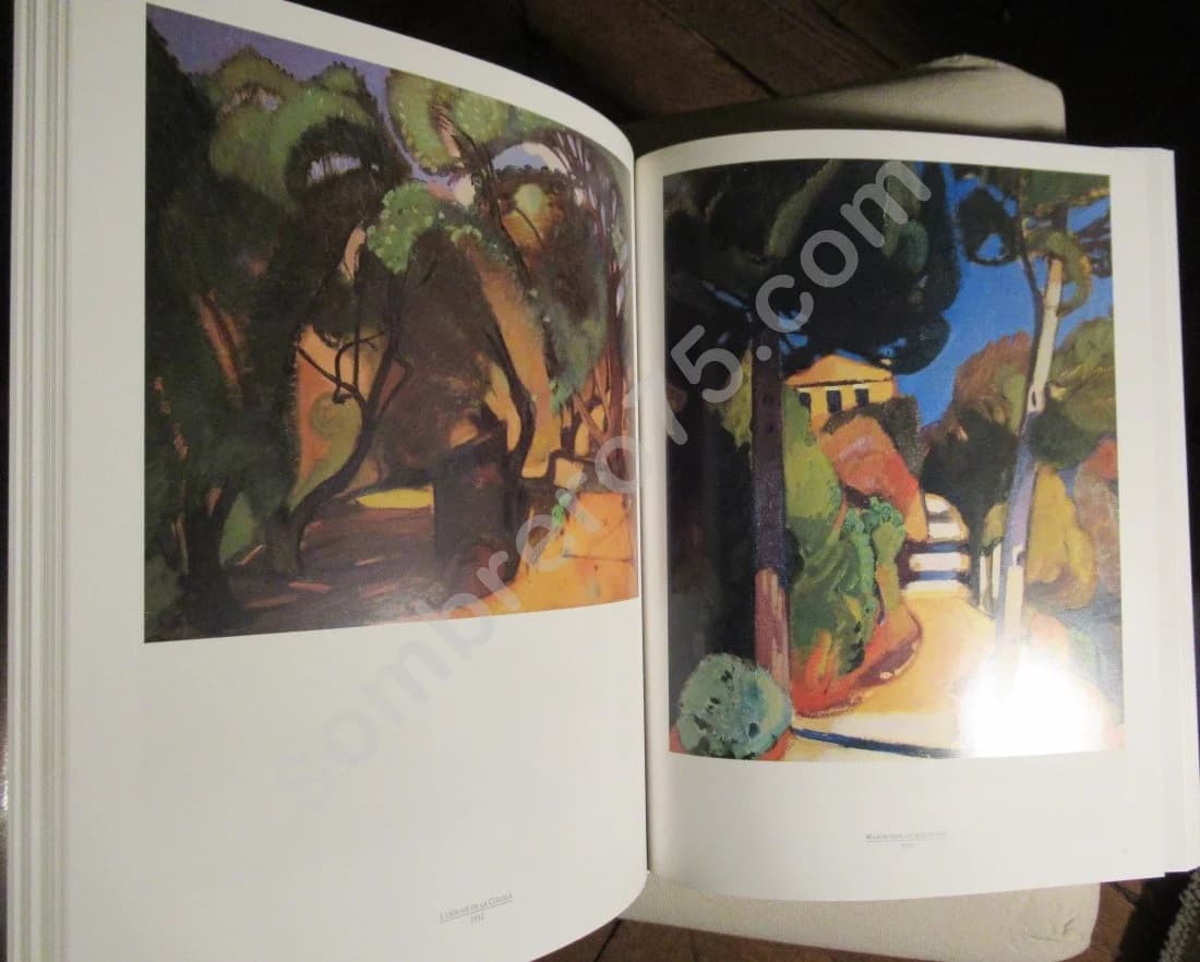 Jean VANDEN EECKHOUDT 1875 - 1946. Johanna RUYTS VAN RILLAER - Image 4