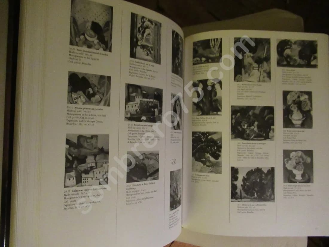 Jean VANDEN EECKHOUDT 1875 - 1946. Johanna RUYTS VAN RILLAER - Image 7