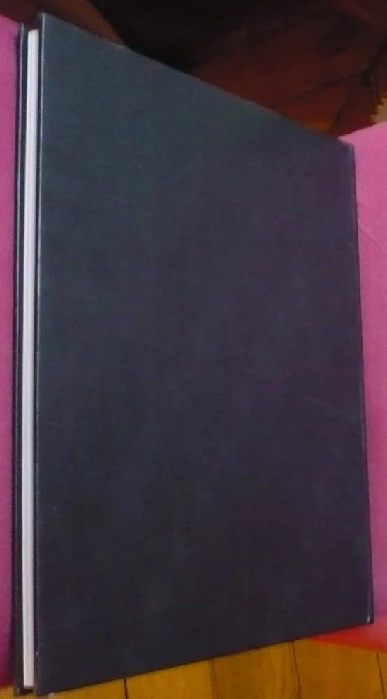 Germaine Richier 1904 - 1959. Draeger. Brassaï - Image 7