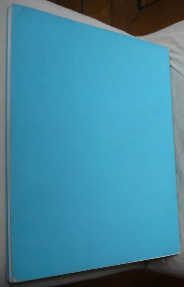 Keith Haring. Peintures Sculptures et Dessins. C.A.P.C. 1985 - Image 2