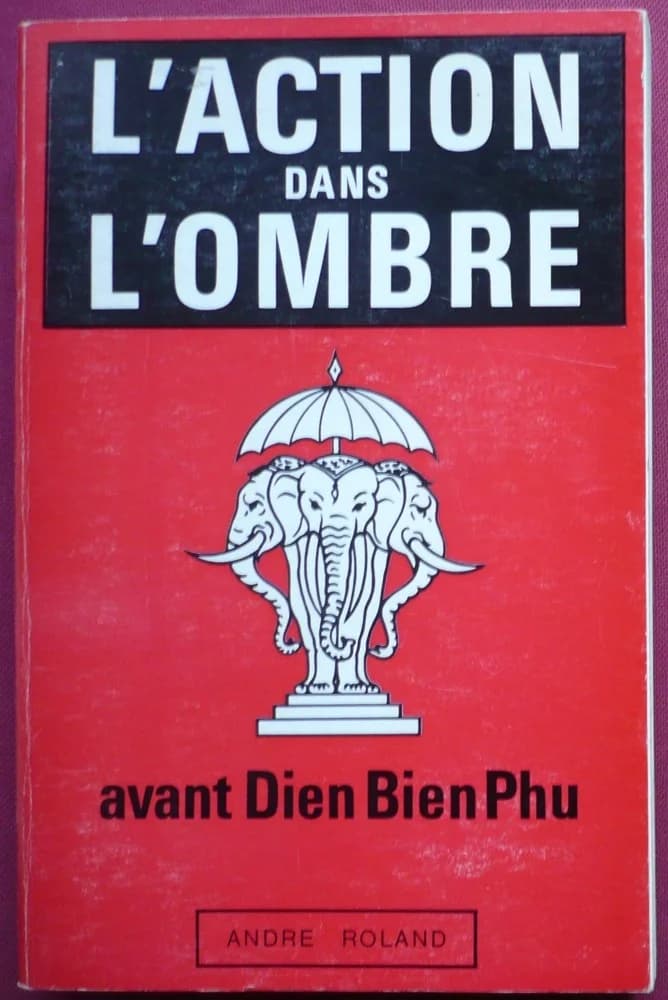 L'action dans l'ombre, avant Dien-Bien-Phu
