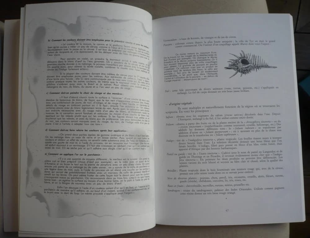 Naissance et Splendeurs du Manuscrit Monastique du VIIe au XIIe Siècle - Image 4