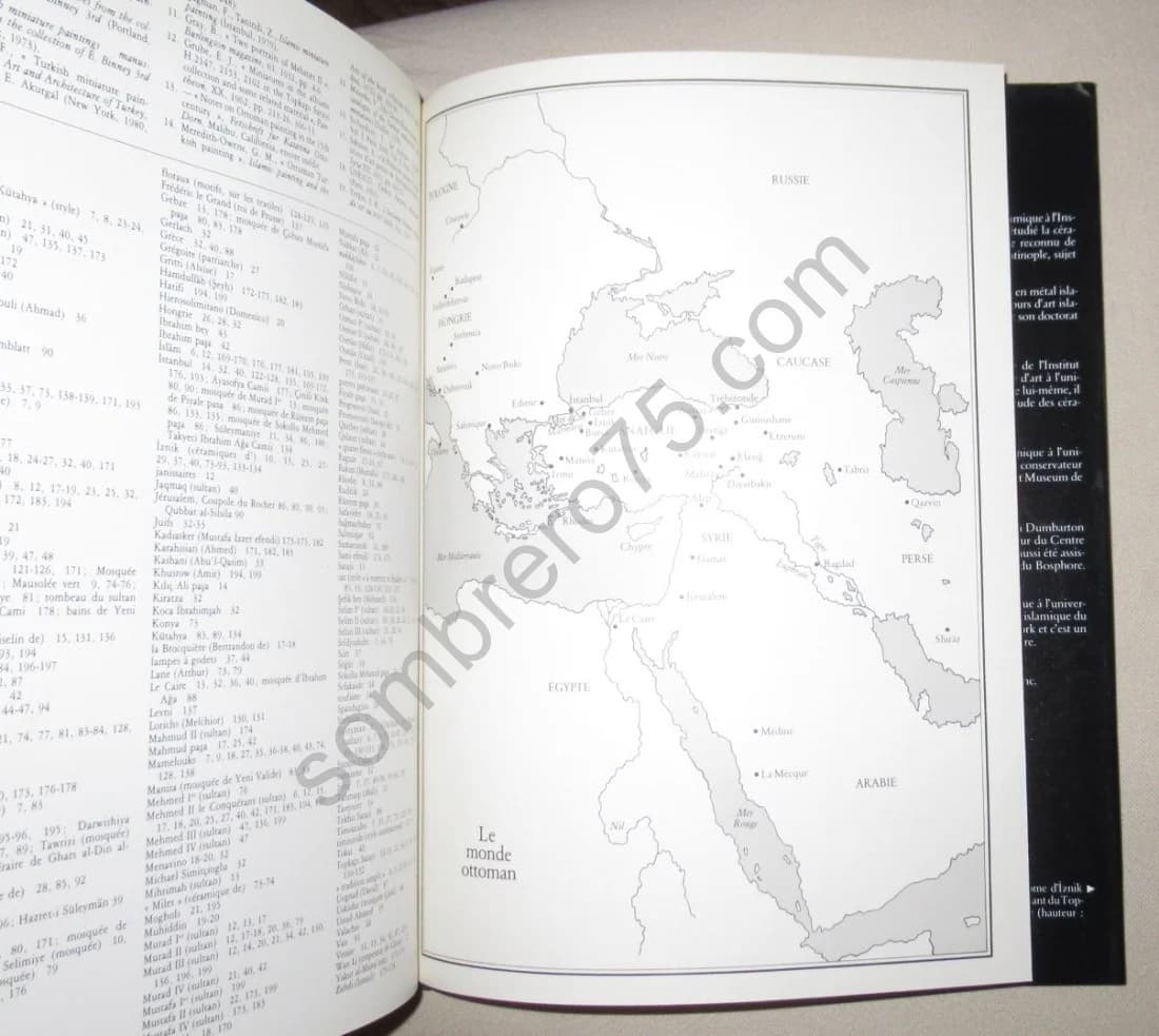 L'Art Décoratif Ottoman : Tulipes, Arabesques et Turbans - Image 8