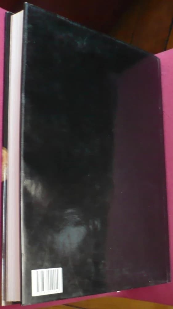 Jades Chinois. Wang Chen-Chiu - Image 2