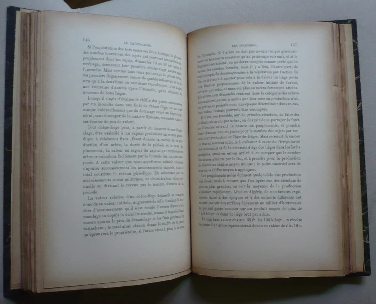 Le Chêne Liège, sa Culture et son Exploitation. 1893. A. Lamey - Image 3