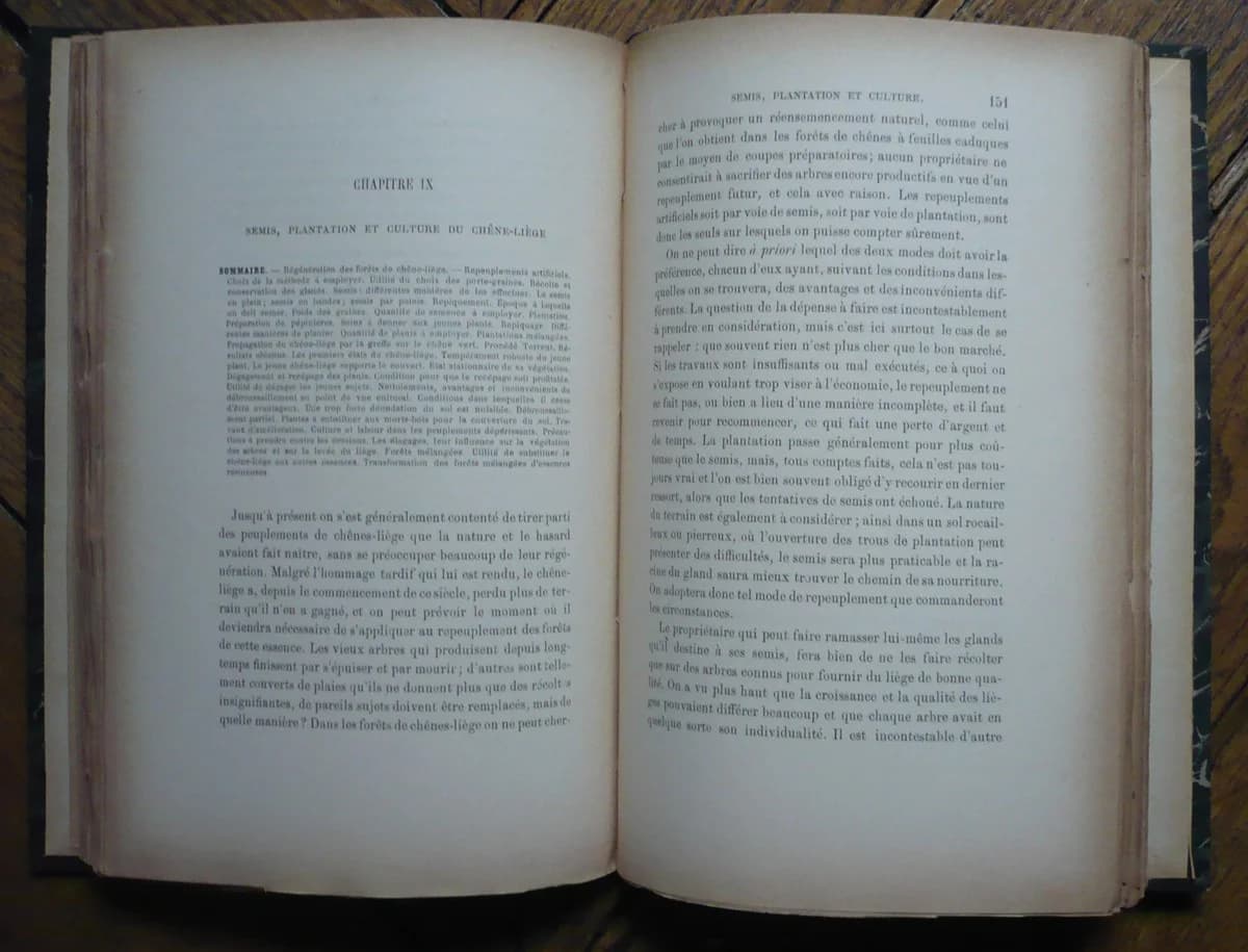 Le Chêne Liège, sa Culture et son Exploitation. 1893. A. Lamey - Image 4