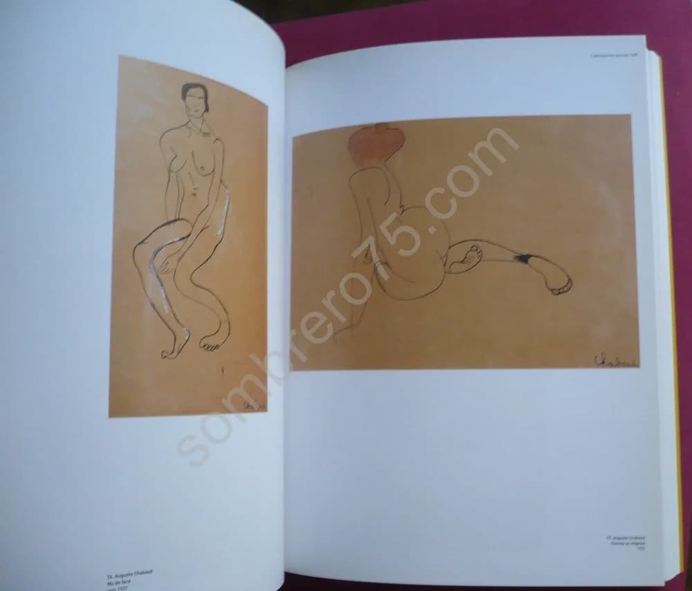 Quelque Chose de plus que la Couleur : Le Dessin Fauve 1900 - 1908. Véronique Serrano, Claudine Grammont - Image 4