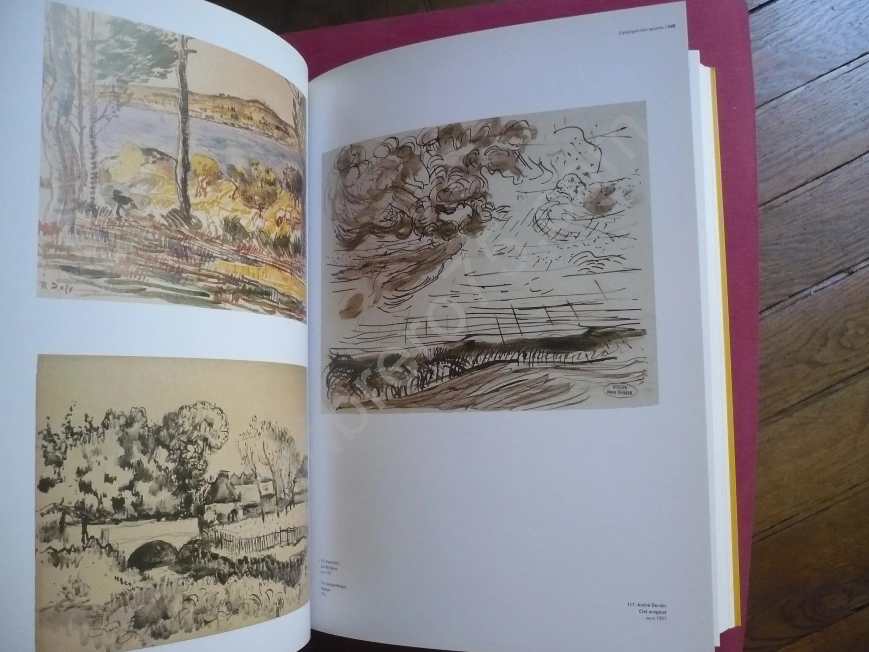 Quelque Chose de plus que la Couleur : Le Dessin Fauve 1900 - 1908. Véronique Serrano, Claudine Grammont - Image 5