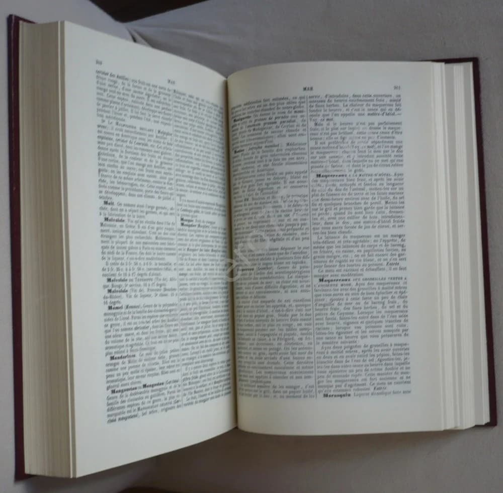 Le Cuisinier et le Médecin. L M Lombard - Image 3