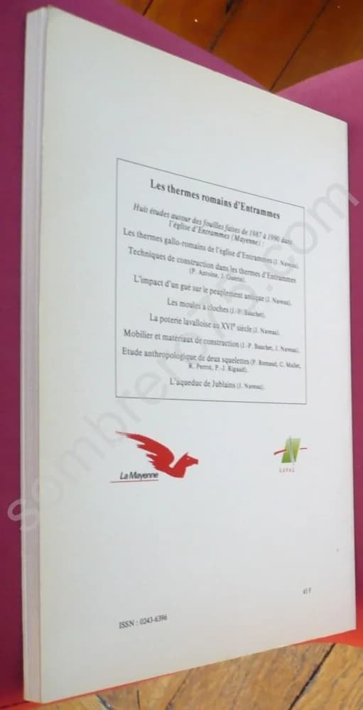 Les Thermes Romains d'Entrammes (La Mayenne, Archéologie, Histoire). Jacques Naveau - Image 2