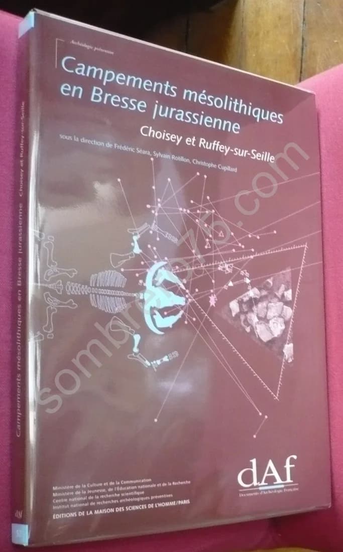 Campements Mésolithiques en Bresse Jurassienne : Choisey et Ruffey-Sur-Seille