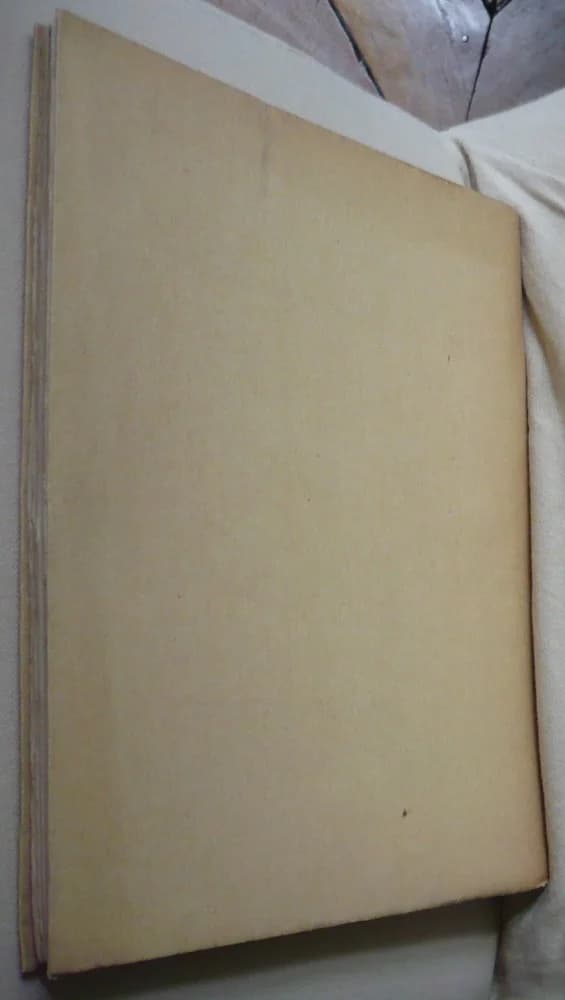 Camille Pernon : Fabricant de Soieries à Lyon sous Louis XVI et Napoléon Ier : 1753-1808 - Image 2