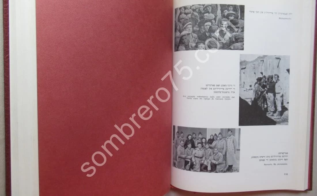 Le Combattant Volontaire Juif 1939-1945 (25e Anniversaire de l'Union des Engagés Volontaires et des Anciens Combattants Juifs - Image 6