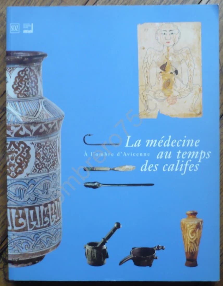 La Médecine au Temps des Califes : A l'ombre d'Avicenne