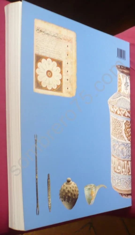 La Médecine au Temps des Califes : A l'ombre d'Avicenne - Image 3