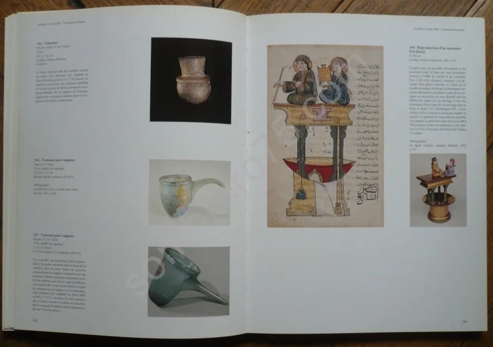 La Médecine au Temps des Califes : A l'ombre d'Avicenne - Image 4