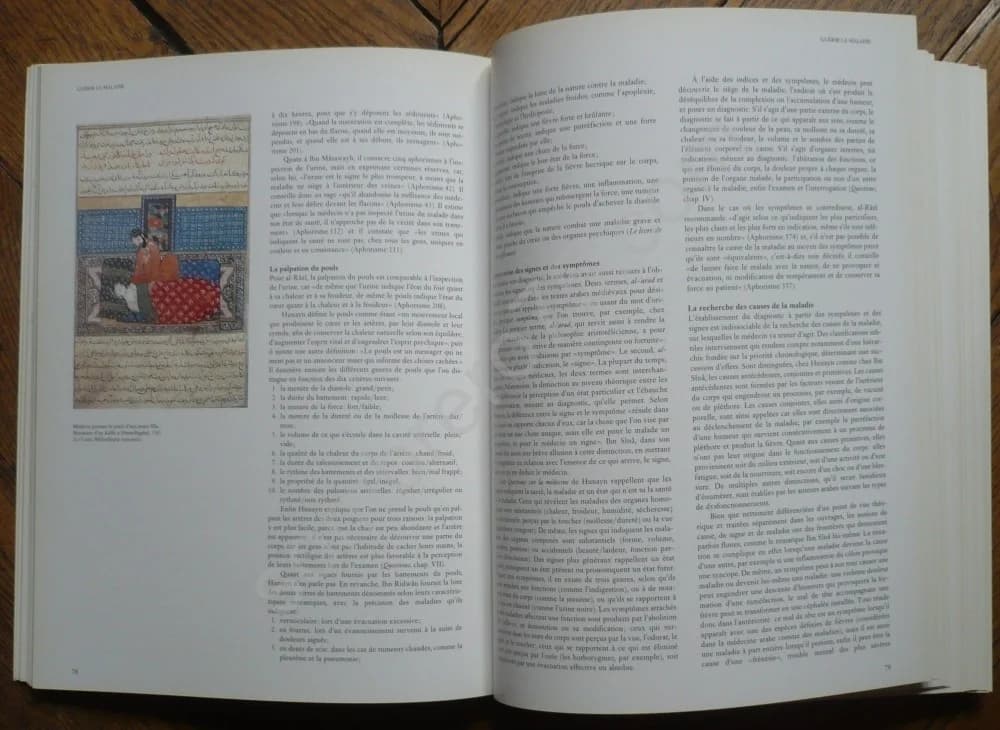 La Médecine au Temps des Califes : A l'ombre d'Avicenne - Image 5