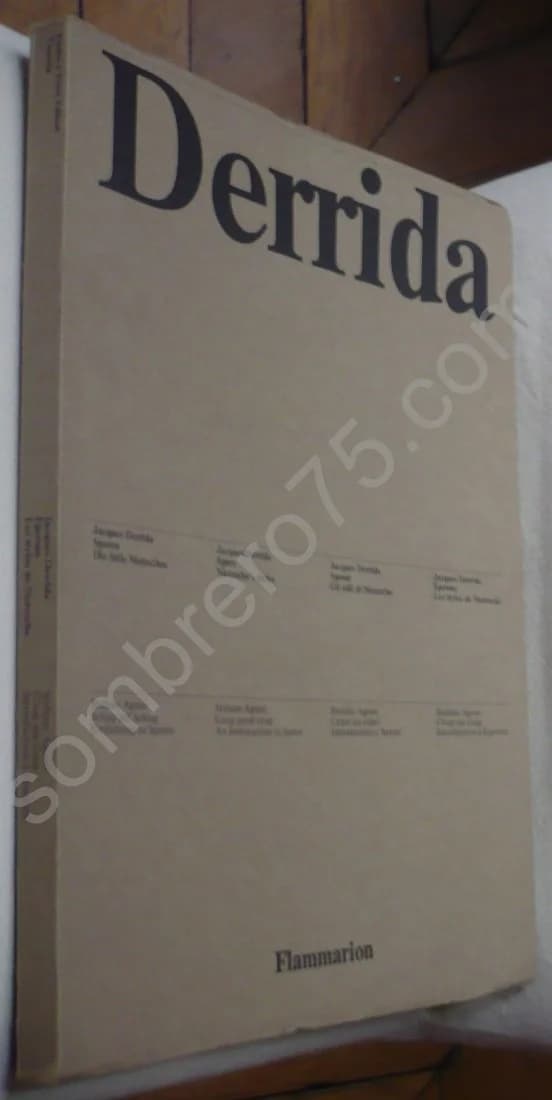 Jacques Derrida : Eperons Les Styles de Nietzche. Stefano Agosti : Coup sur Coup. Corbo e Fiore Editori Venezia 1976 - Image 2