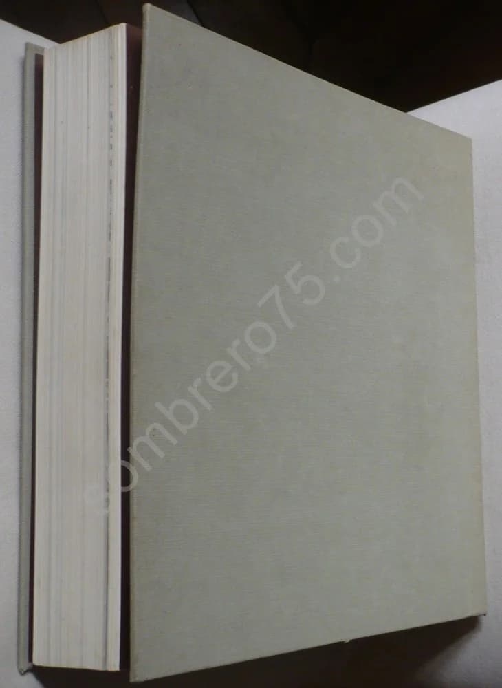 Catalogo Bolaffi delle Fiat 1899 - 1970. Angelo Tito Anselmi - Image 3