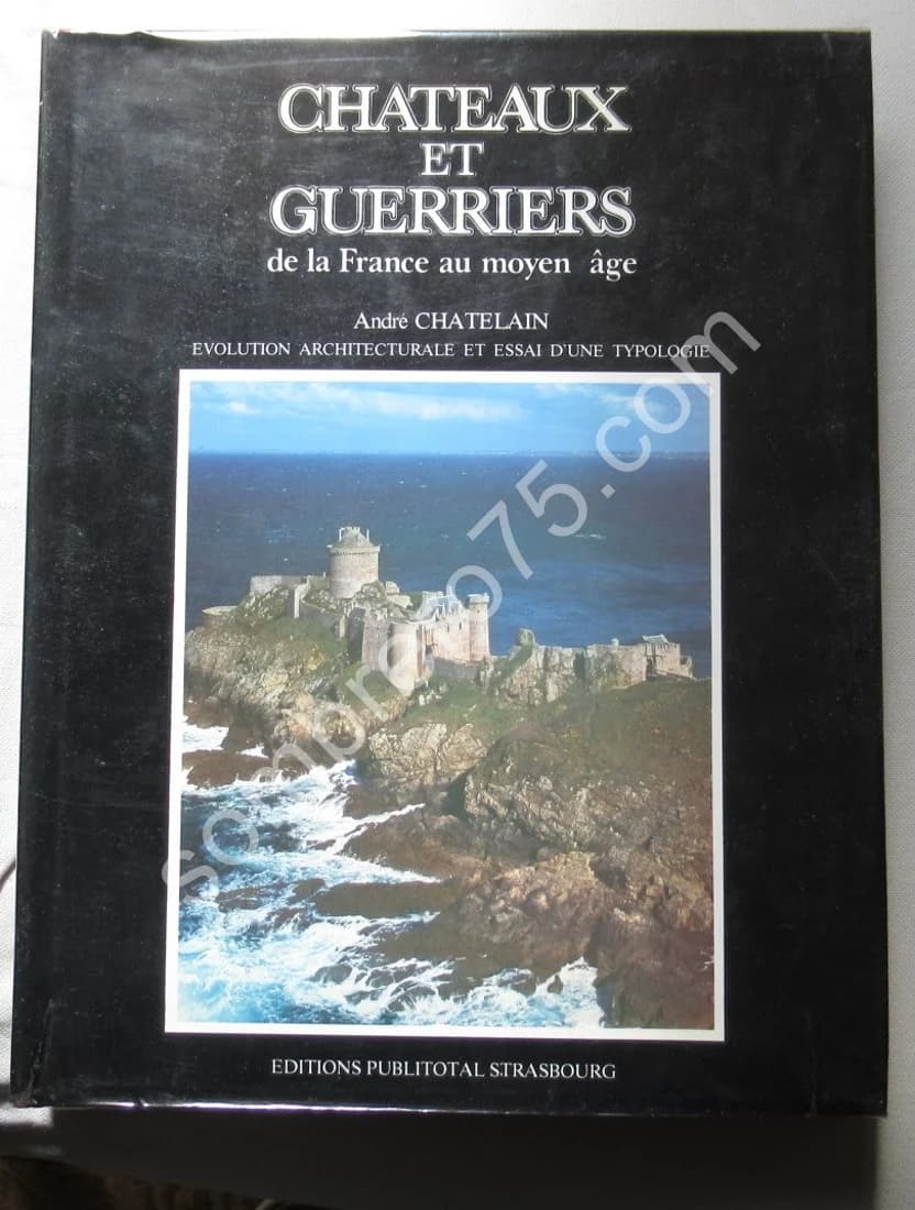 Châteaux et Guerriers de la France au Moyen Age. Evolution Architecturale et Essai d'une Typologie. Tome 2