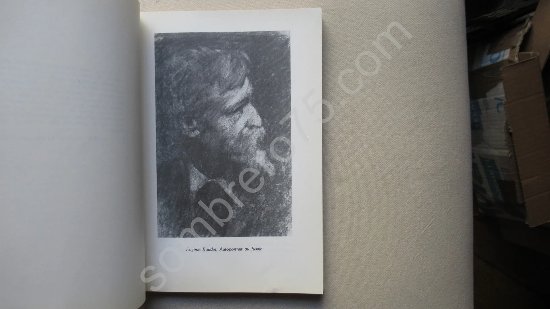 Eugene Baudin, 1843-1907: Approche de l'Ecole Moderne de Peinture Lyonnaise, 1863-1925. Colette et Etienne Bidon - Image 3