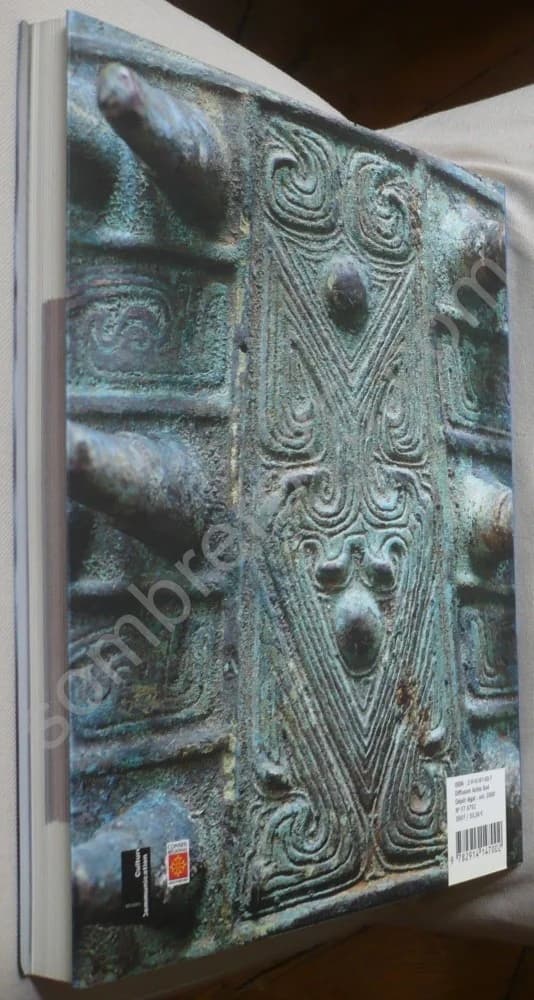 La Voix du Dragon. Trésors Archéologiques et Art Capanaire de la Chine Ancienne. Cité de la Musique - Image 3